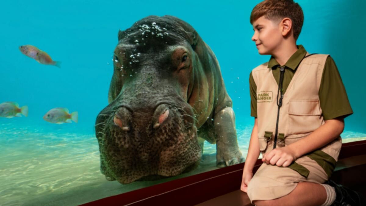 Genç bir vahşi yaşam bekçisi olmak ister misiniz? Dubai Safari Parkı, Çocuklar için Dh550 Geçişini Tanıttı