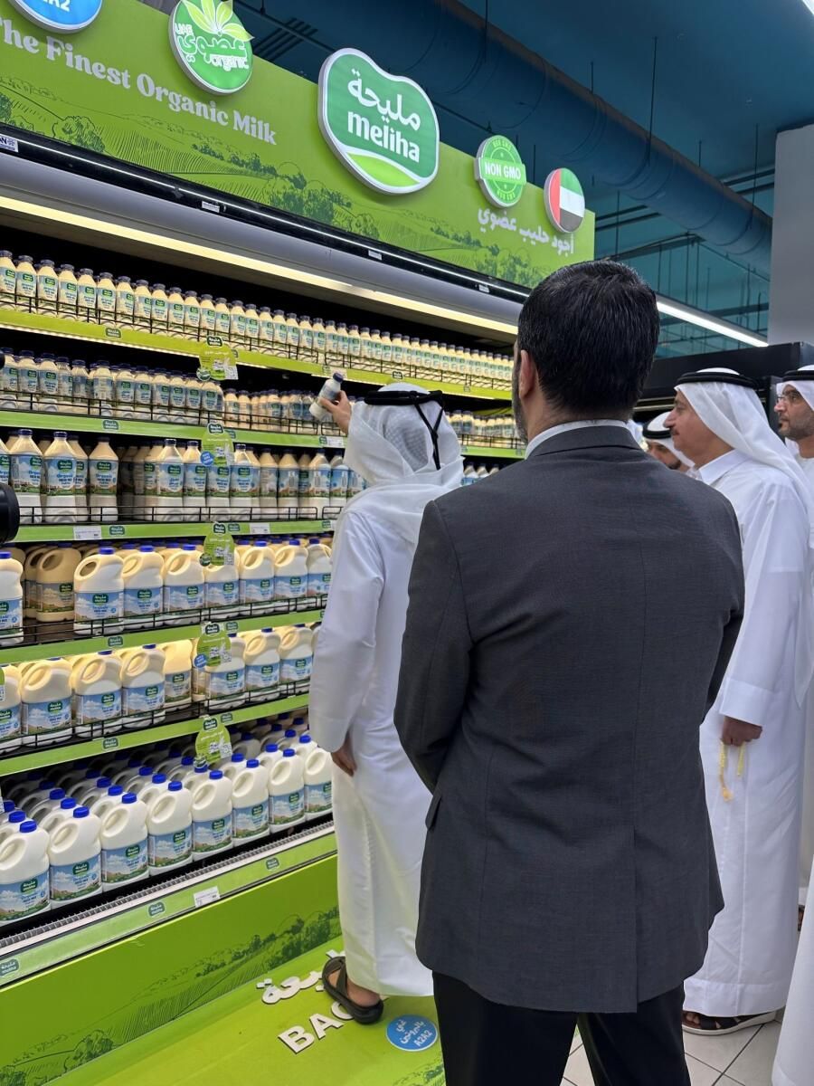 Sharjah'ın Popüler Meliha Sütü Artık Dubai'de Mevcut