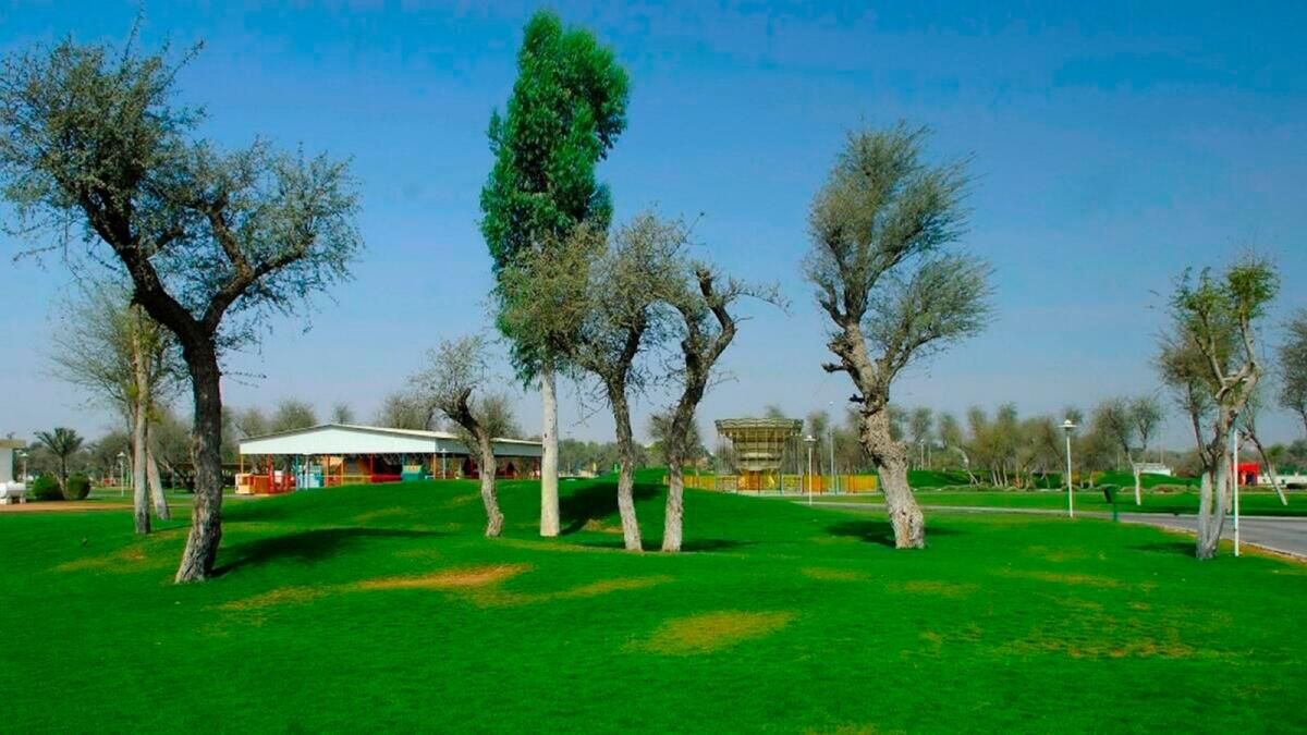 BAE: Abu Dabi'deki Etkinlikler için Ücretsiz Park, Bahçe Alanı Nasıl Rezerve Edilir
