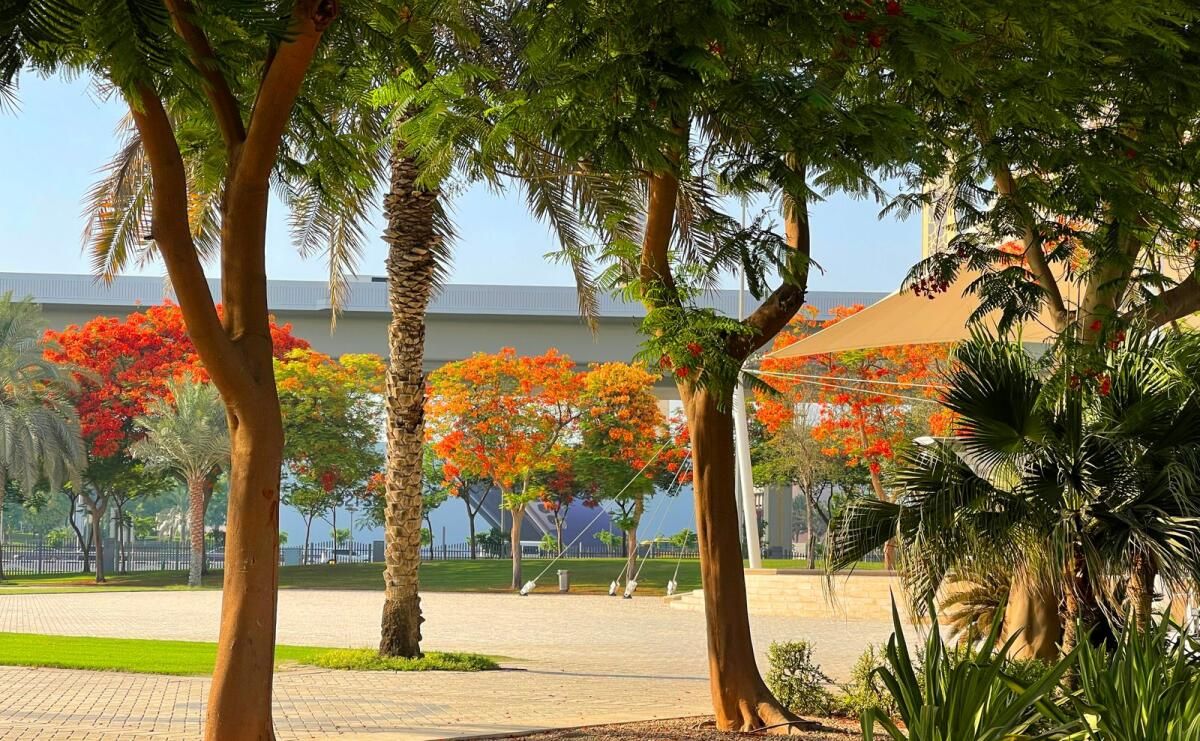 BAE: Rak'ta Yeni Park Açılıyor; Fujairah Öğrencileri 'Ekim Haftası' Kapsamında Yerel Ağaçlar Dikiyor
