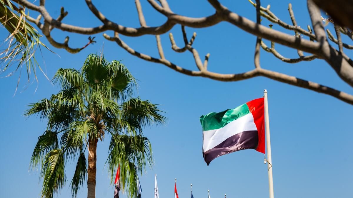 BAE, Mali Eylem Görev Gücü'nün Avrupa-Asya Grubunun Gözlemci Üyesi Oldu