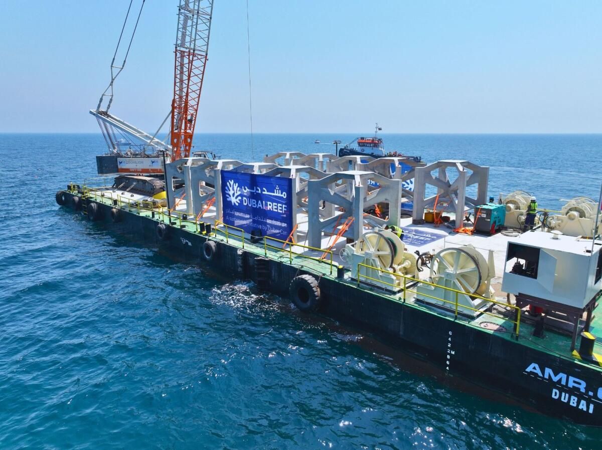 Dubai: Şehrin Kıyılarında Konuşlandırılmış Bir Yüzyılı Aşkın Sürebilen 20.000 Resiften İlki