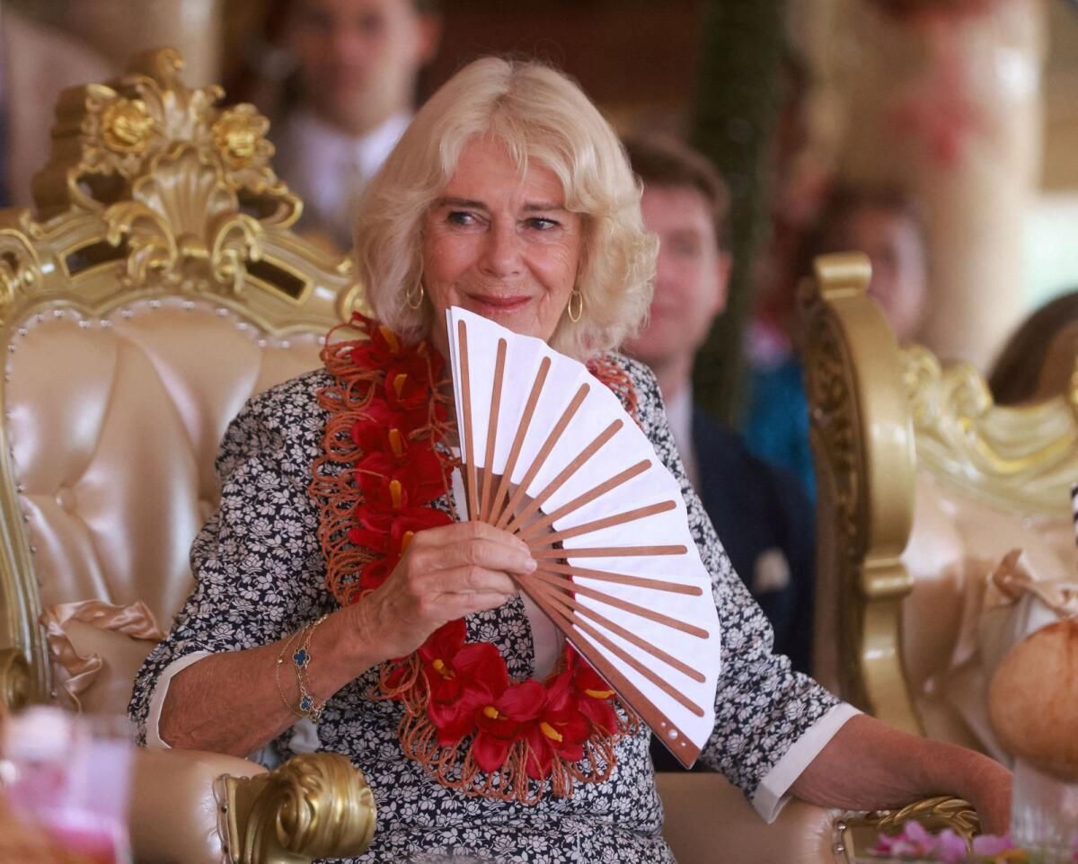 Camilla işe Dönüşte 'İyileşiyor' Diyor