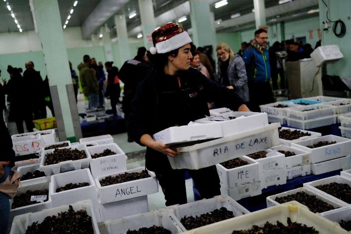 İspanyolların En Sevdiği Noel Yemeği Olan Midye, iklim Değişikliğinden Etkilenmedi