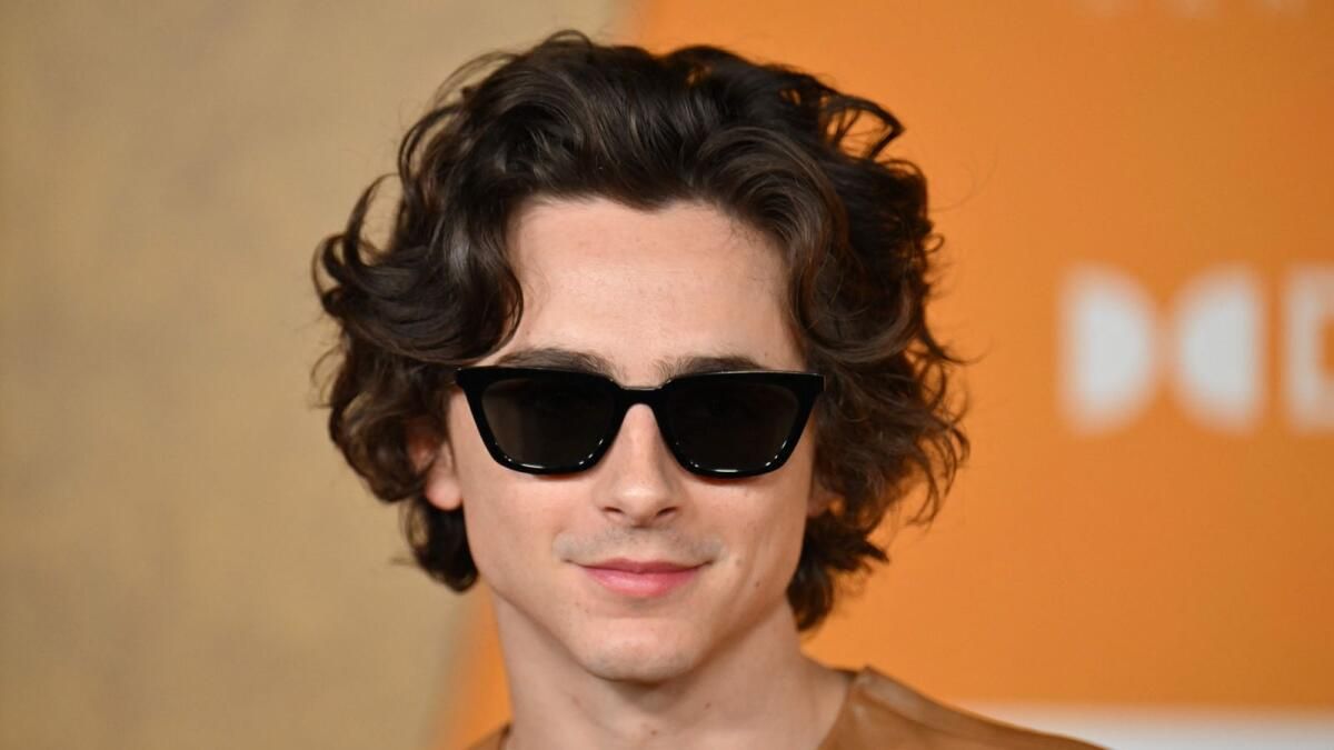 Bob Dylan, Timothee Chalamet'in Yaklaşmakta Olan Biyografideki Rolünü Üstleneceğinden Emin