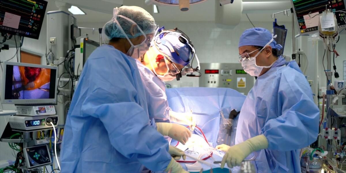 BAE: Doktorlar Hastayı Minimal İnvaziv Prosedür Kullanarak 'Kalp Deliği' İle Tedavi Ediyor