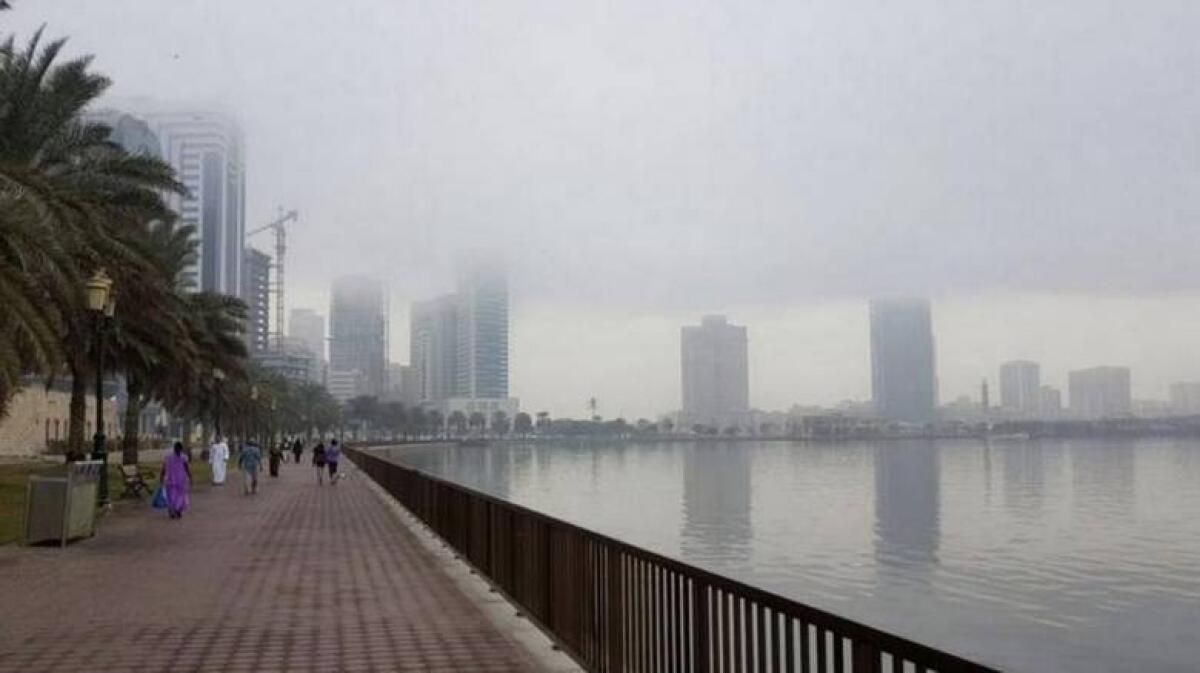 BAE Hava Durumu: Sis için Kırmızı, Sarı Uyarılar Verildi; Al Ain'de Sıcaklıklar 4,9 ° C'ye Düşer