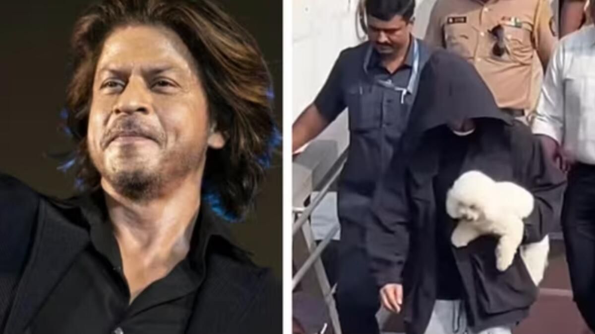Benekli: Shahrukh Khan Evcil Köpeğiyle Birlikte