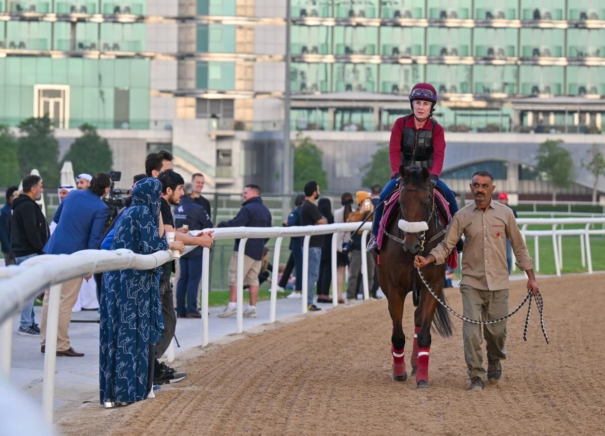 Dubai Neden Uluslararası Atlar için Favori Bir Eğitim Alanı Haline Geldi