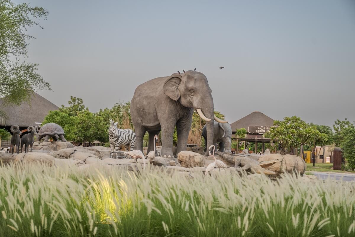 Dubai Safari, 'Gece Safarileri' için Park Zamanlamalarını Sınırlı Bir Süre Uzatıyor