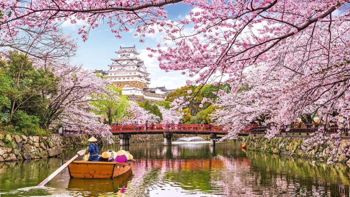 Japonya'ya Seyahat için Artan Talep