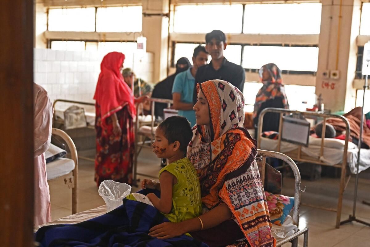 Habitat Kaybı Bangladeş'te Kuduz Çakal Saldırılarını Tetikliyor