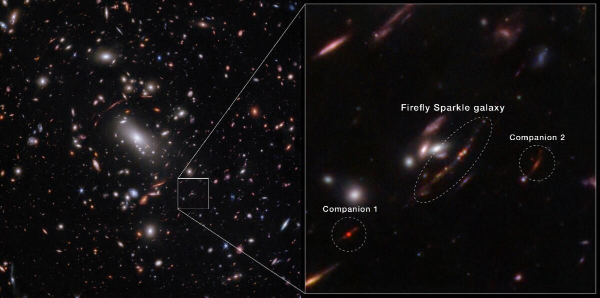 Firefly Sparkle Galaxy, Bebek Samanyolu'nun Tadını Sunuyor