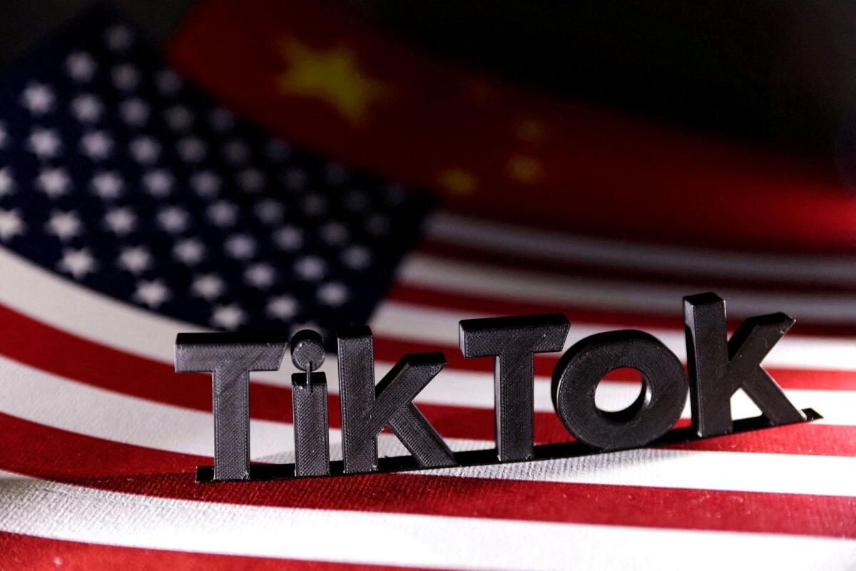 Tiktok, Musk'un X'ine Olası Satış Raporunu 'Saf Kurgu' Olarak Nitelendirdi