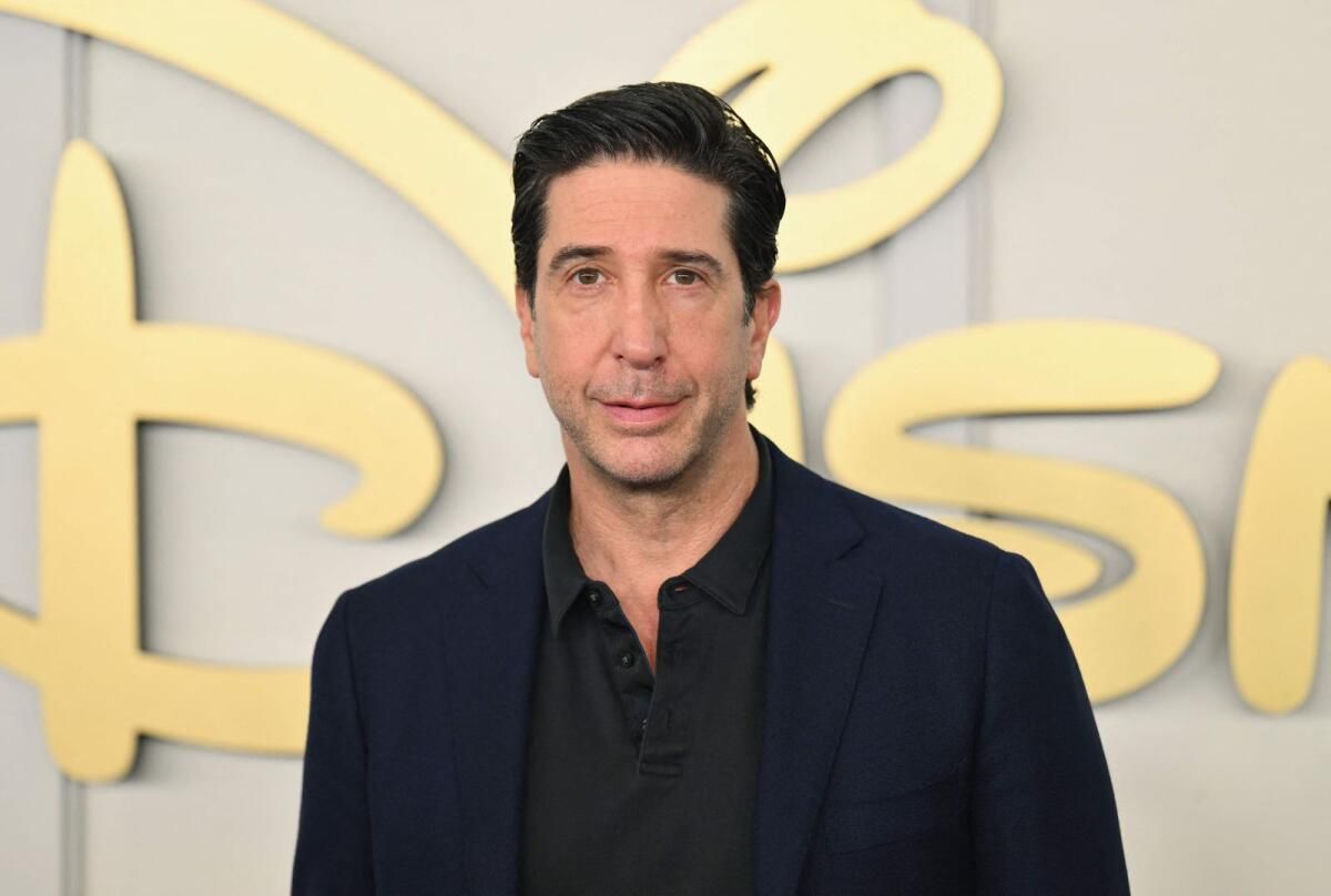 David Schwimmer, Şarkıcı Rod Stewart'a Boşanma Belgeleri Verdiğini Hatırlıyor