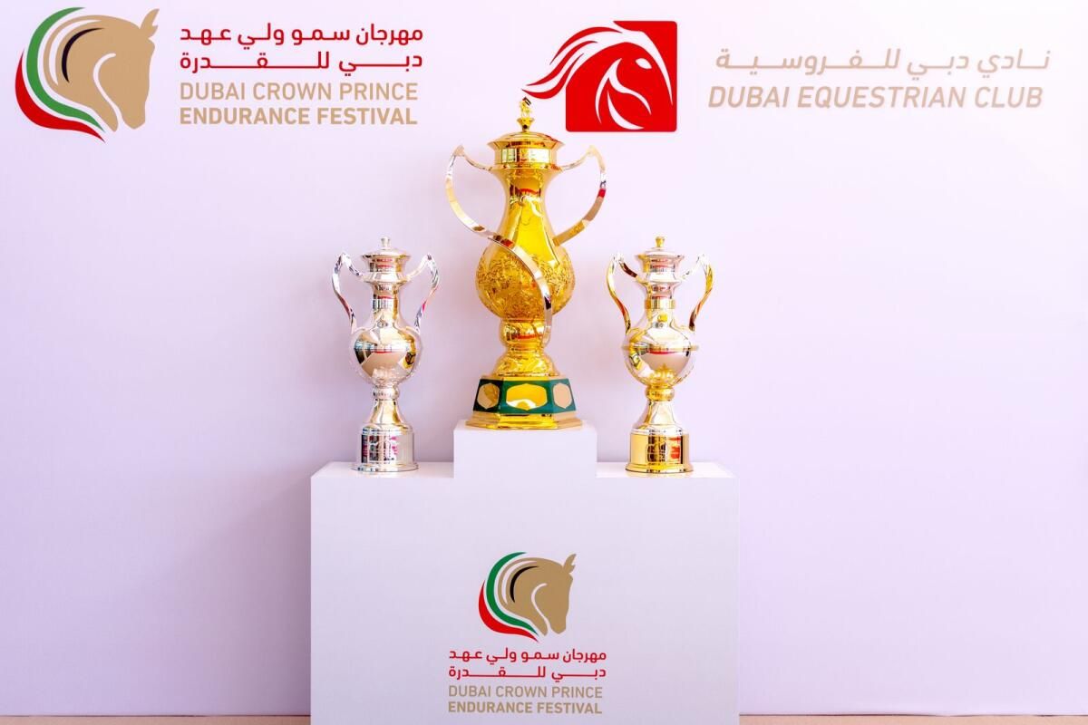 Dubai Veliaht Prens Dayanıklılık Festivali Yarın Başlıyor