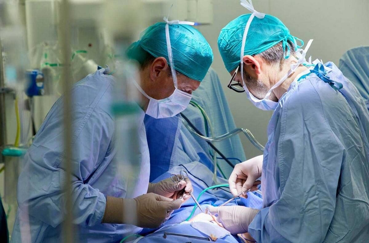 BAE: Uzmanlar, Doktorların Sağlık Maliyetlerini Düşürmesi, En İyi Yetenekleri Çekmesi için Birleşik Lisans Diyor