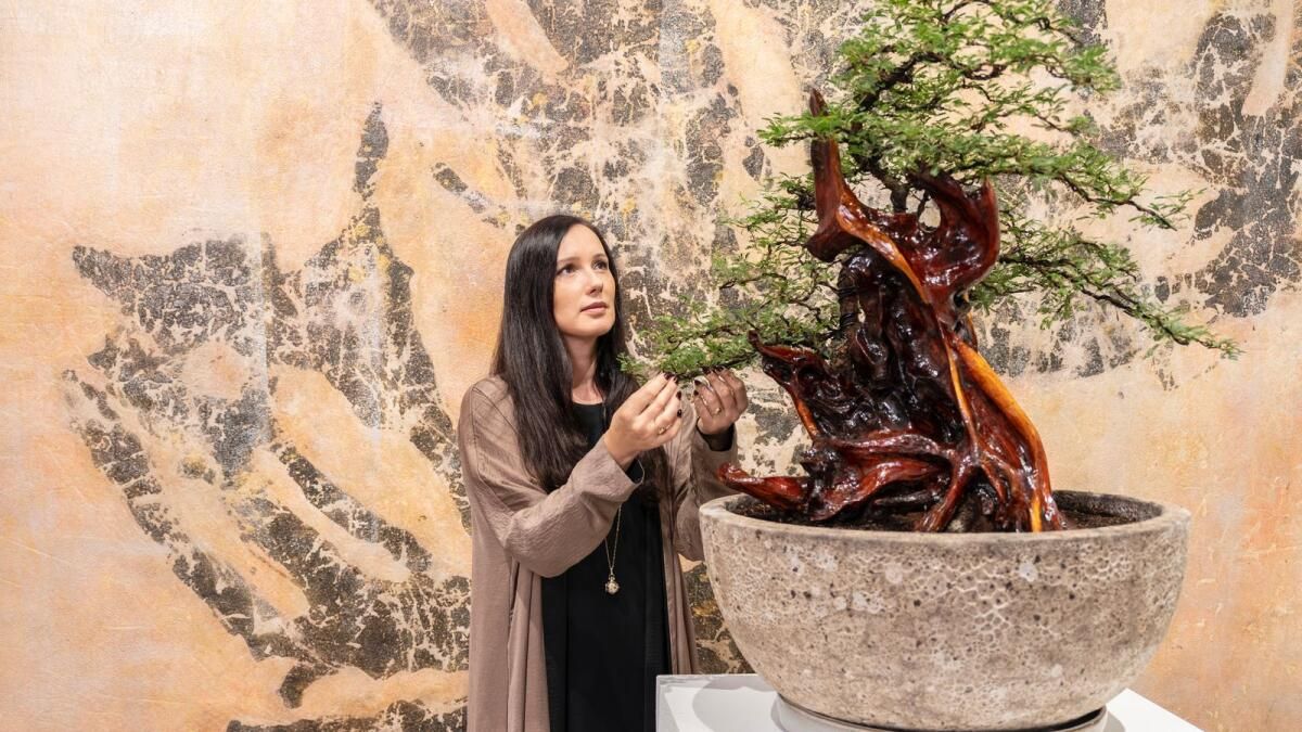 Dubai Merkezli Sanatçı, Bonsai'yi BAE'nin İkonik Ghaf'ı ve Zeytin Ağaçlarıyla Yeniden Tasarlıyor