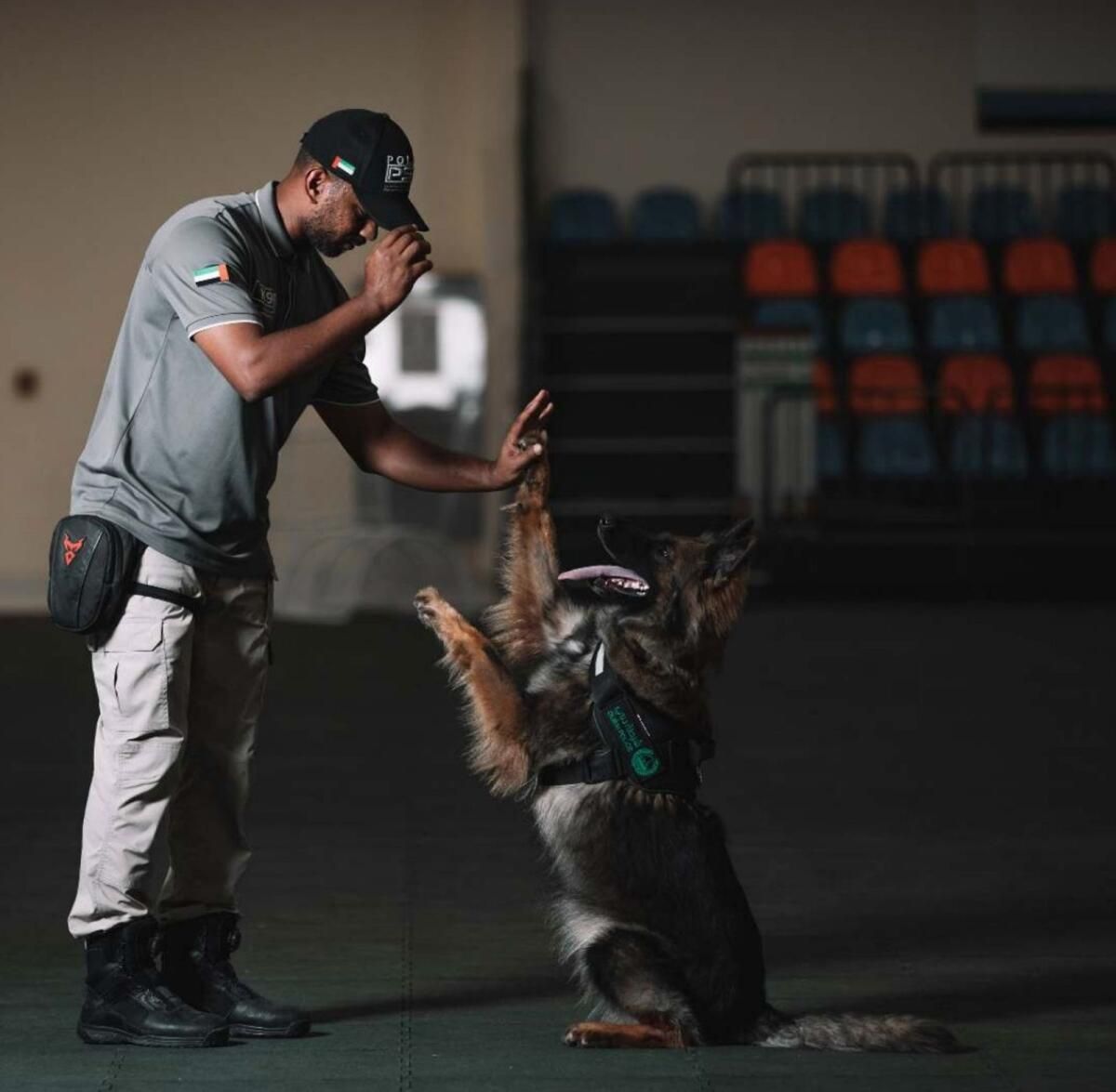 Dubai Polisinin K9 Köpekleri Kayıp İnsanları Bulmaya Nasıl Yardımcı Oldu, 2024'teki Kurtarma Görevlerine Nasıl Yardımcı Oldu