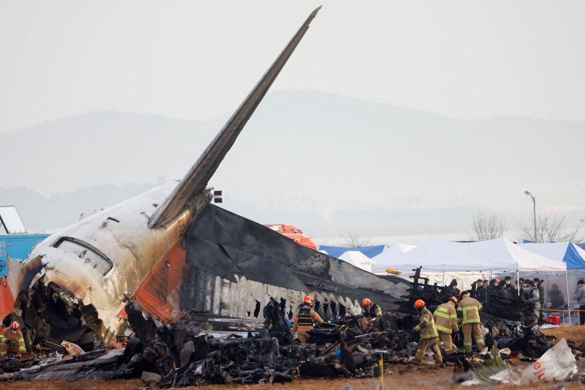 Jeju Jet Motorlarında Bulunan Kuş Tüyleri ve Kan Lekeleri: Rapor
