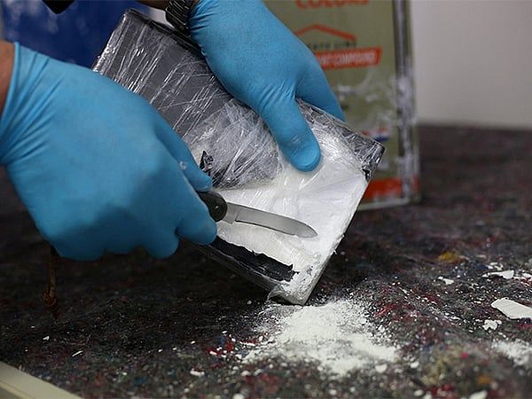 Pakistanlı Aktörün Oğlu Uyuşturucu Kaçakçılığını İtiraf Etti