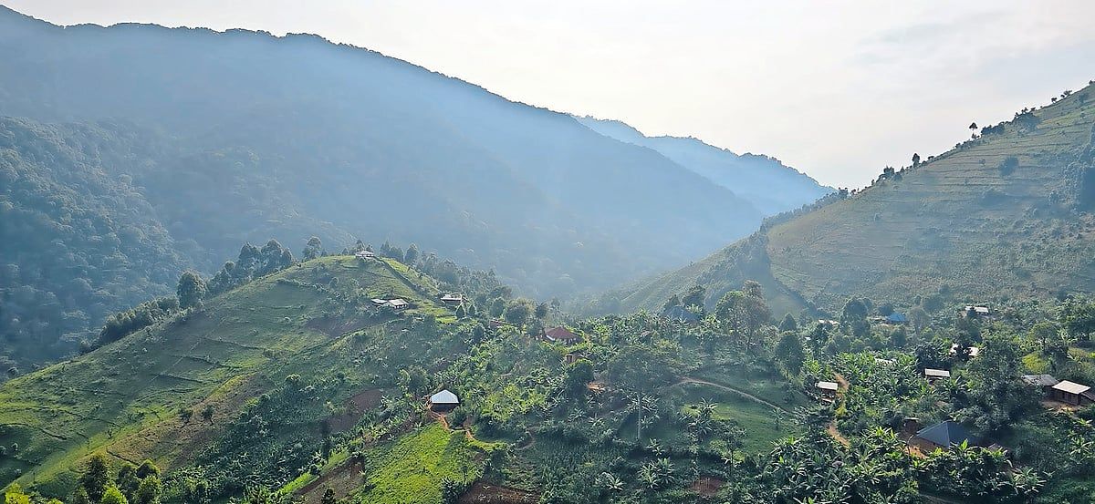 Uganda - Ticaret ve Yatırım için Afrika'ya Açılan Bir Kapı