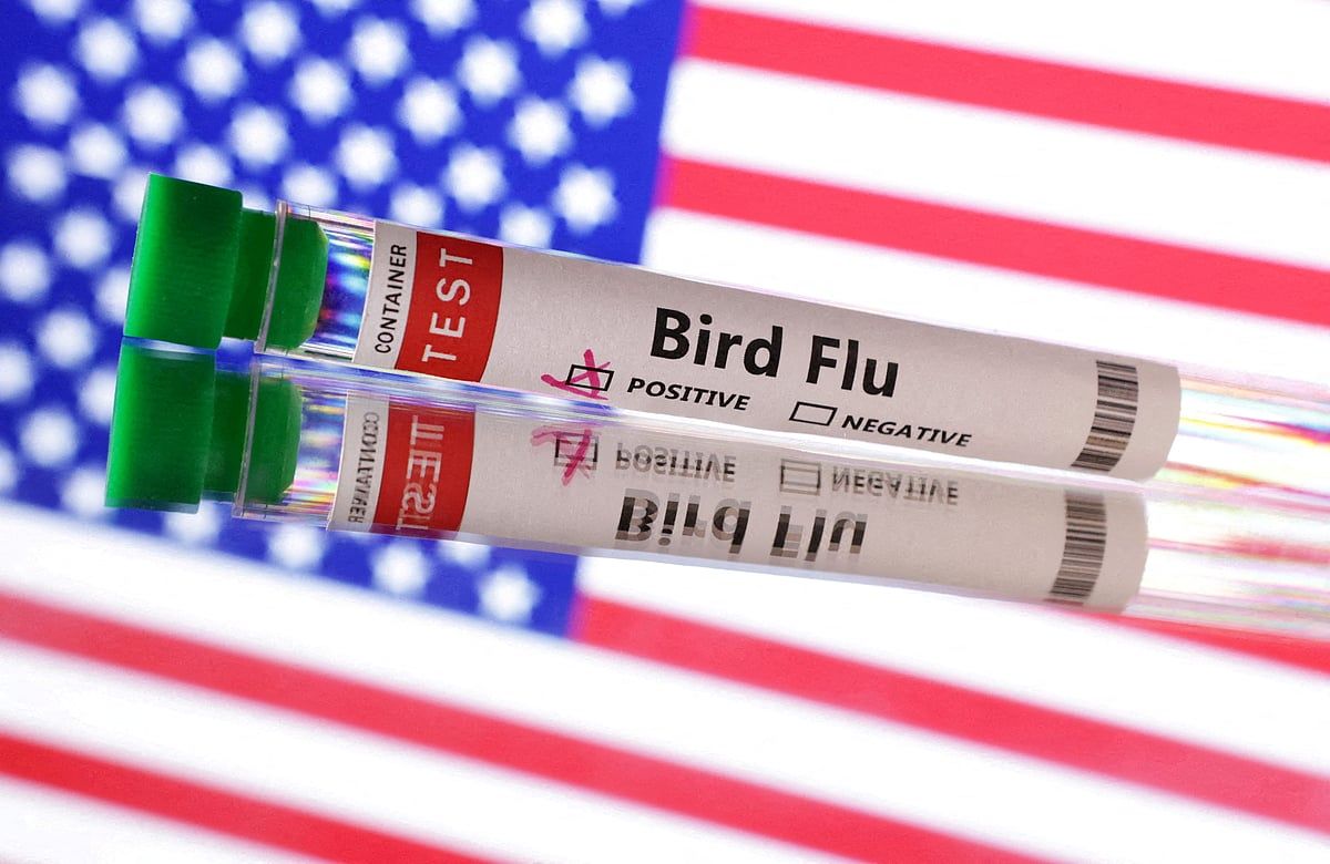 ABD, 2017'den Bu Yana ilk Ölümcül H7N9 Kuş Gribi Salgınını Bildirdi