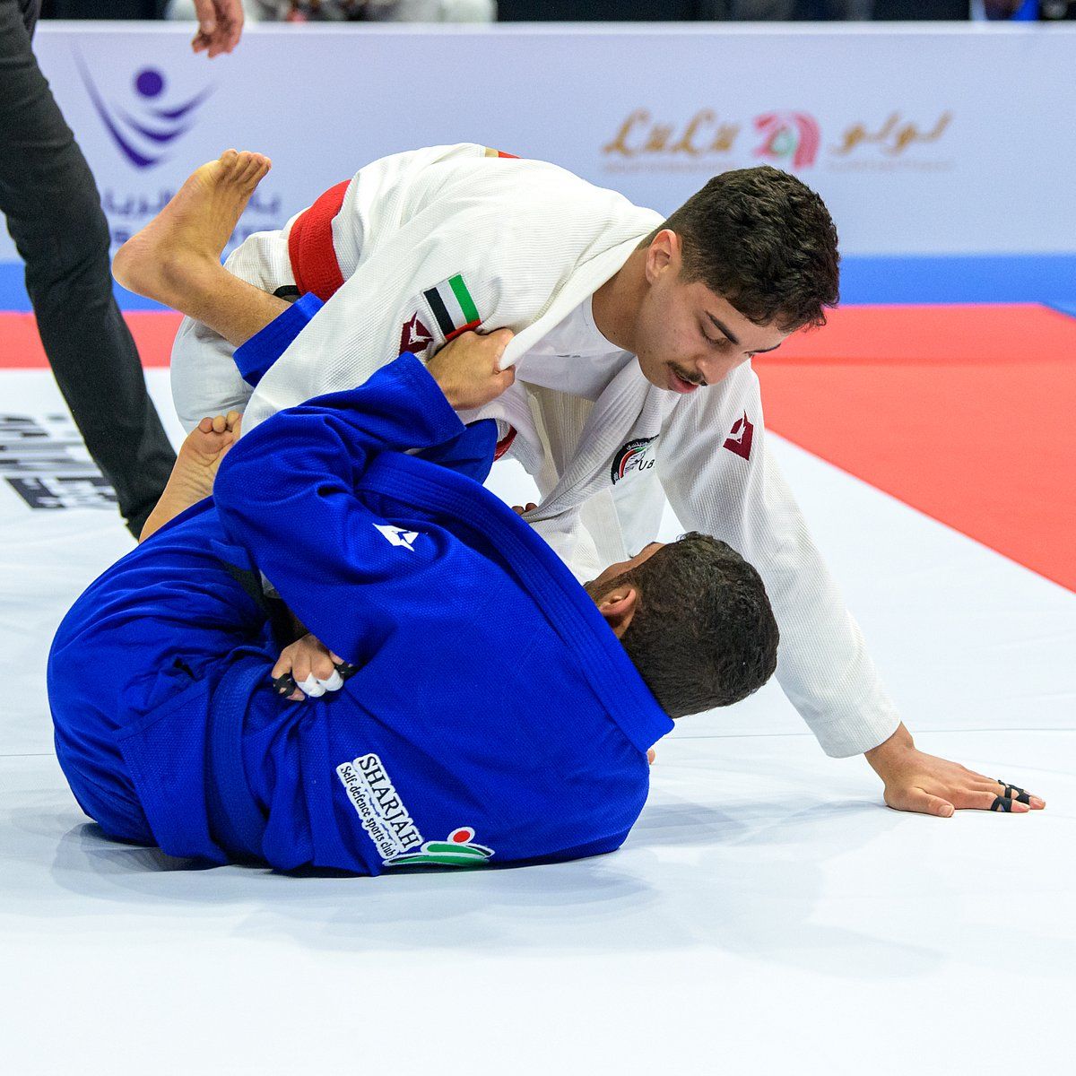 Abu Dabi'deki Jiu-Jitsu Cumhurbaşkanlığı Kupası'nın İlk Turu için Sahne Belirlendi