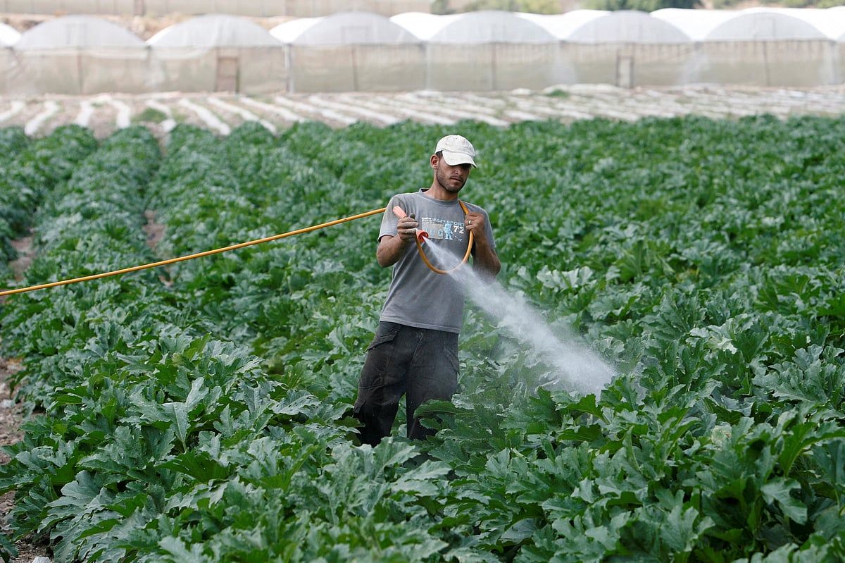 İsrail'in Batı Şeria'daki Köyler Üzerindeki Yerleşimci Baskısı İlhak Korkularını Körüklüyor