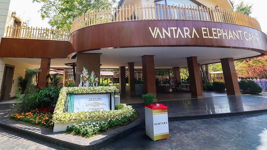 Jamnagar'daki Vantara Yaban Hayatı Kurtarma Merkezi, Korumada Yeni Standartlar Belirliyor