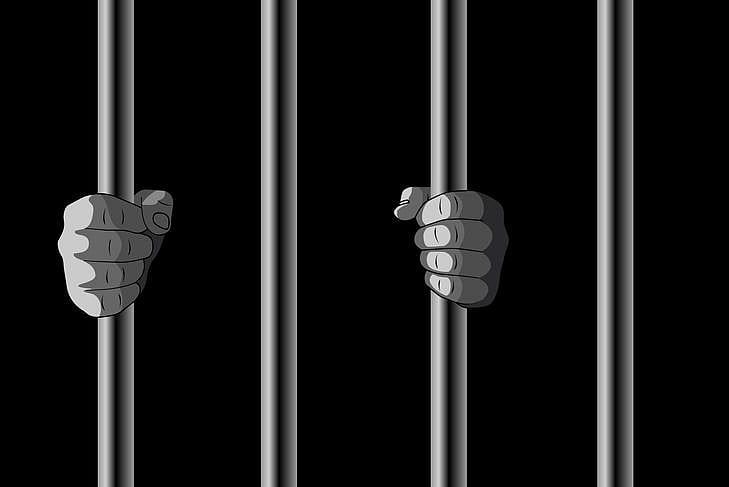 Polonya, 56 Böbrek Satmaktan Suçlu Bulunan Ukraynalı Kadını Tutukladı