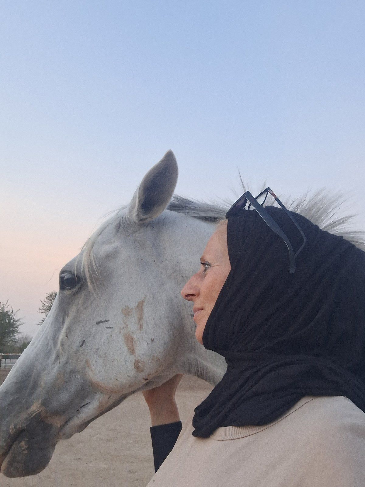 Sadece Dubai'de: Bu Yıl Emekli Atlarla İftar