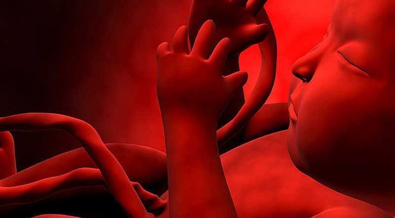 Yapay Zeka, Fetal Sorunları Tespit Etmede İki Kat Daha Hızlı, İngiltere Denemesini Gösteriyor