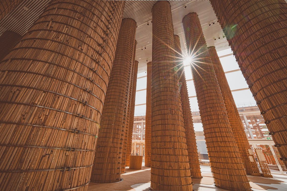 BAE, Expo 2025 Osaka için Hurmadan İlham Alan 'Orman' Pavyonunu Tanıttı