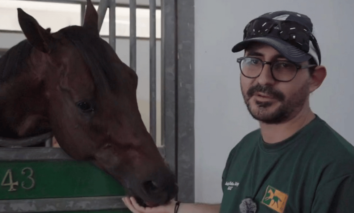 Drew's Gold, Meydan'daki Dubai Altın Şahin'de Parlamayı Hedefliyor