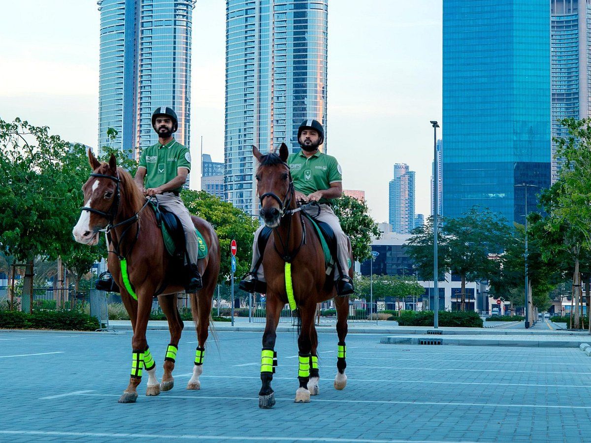 Dubai: 2024'te Atlı Polis Devriyeleri Tarafından Verilen 460'ın Üzerinde Trafik Cezası