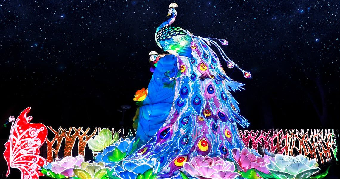 Dubai Garden Glow 10 Sezon Sonra Kapanıyor; Yeni Konseptiyle Yeni Lokasyonda Yeniden Açılacak