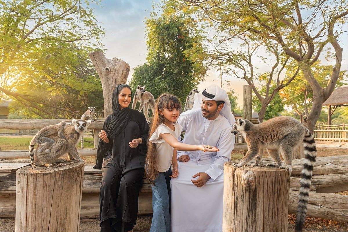 Dubai Safari Parkı: Şimdi, Koruma Girişimlerini Finanse Etmek için Bilet Gelirinin Bir Parçası