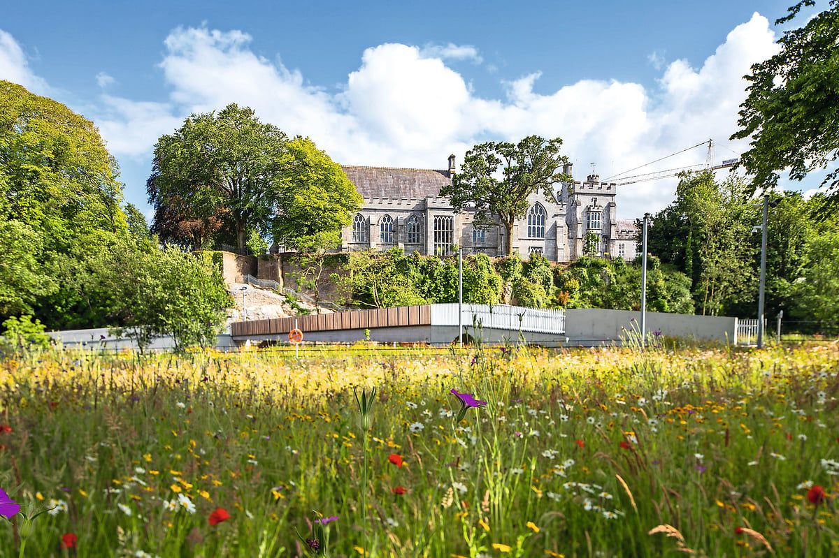 İrlanda'daki University College Cork, Yüksek Öğrenim için Gizli Bir Mücevherdir