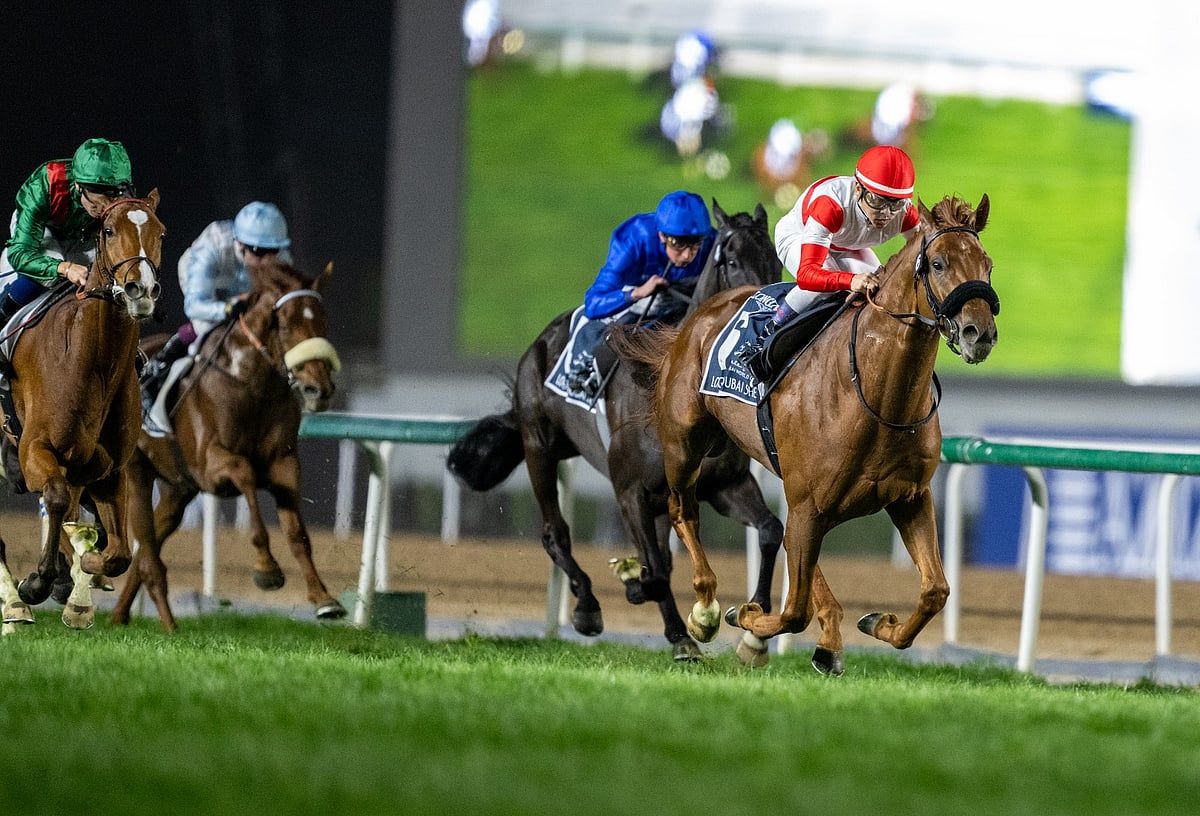 Meydan'da Dubai Dünya Kupası'nın Cazibesi ve Heyecanı