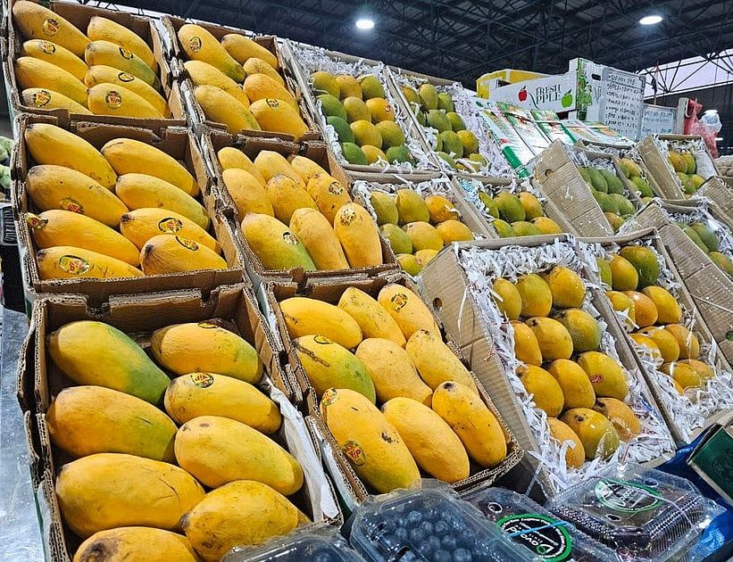 BAE: Sharjah'ın Mango Festivali 27 Haziran'dan İtibaren Başlayacak