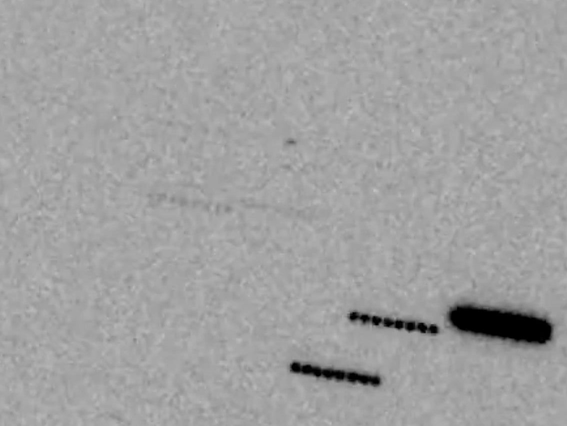 İzle: BAE Gökbilimcileri Abu Dabi Göklerinde Asteroit Tespit Etti