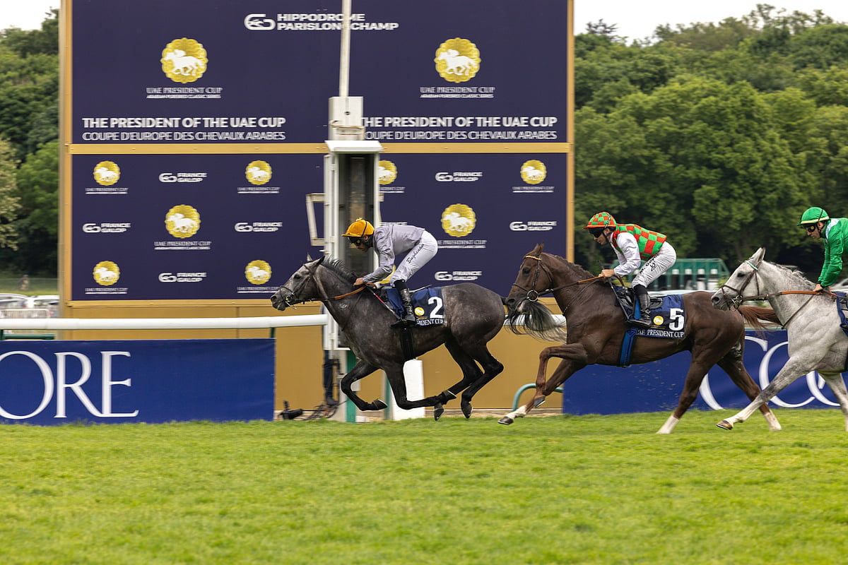 Luwsail'in Parislongchamp'ta G1 Şampiyonluğunu İddia Etmesiyle BAE Cumhurbaşkanlığı Kupası Avrupa'yı Aydınlatıyor