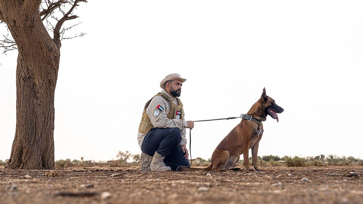 Arama, Kurtarma ve Güvenlik için Seçkin Köpekleri Eğiten BAE'nin Köpek Fısıltıcısıyla Tanışın