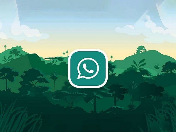 Whatsapp Kullanıcı Adlarını Tanıtmak için? İşte bilmeniz gerekenler