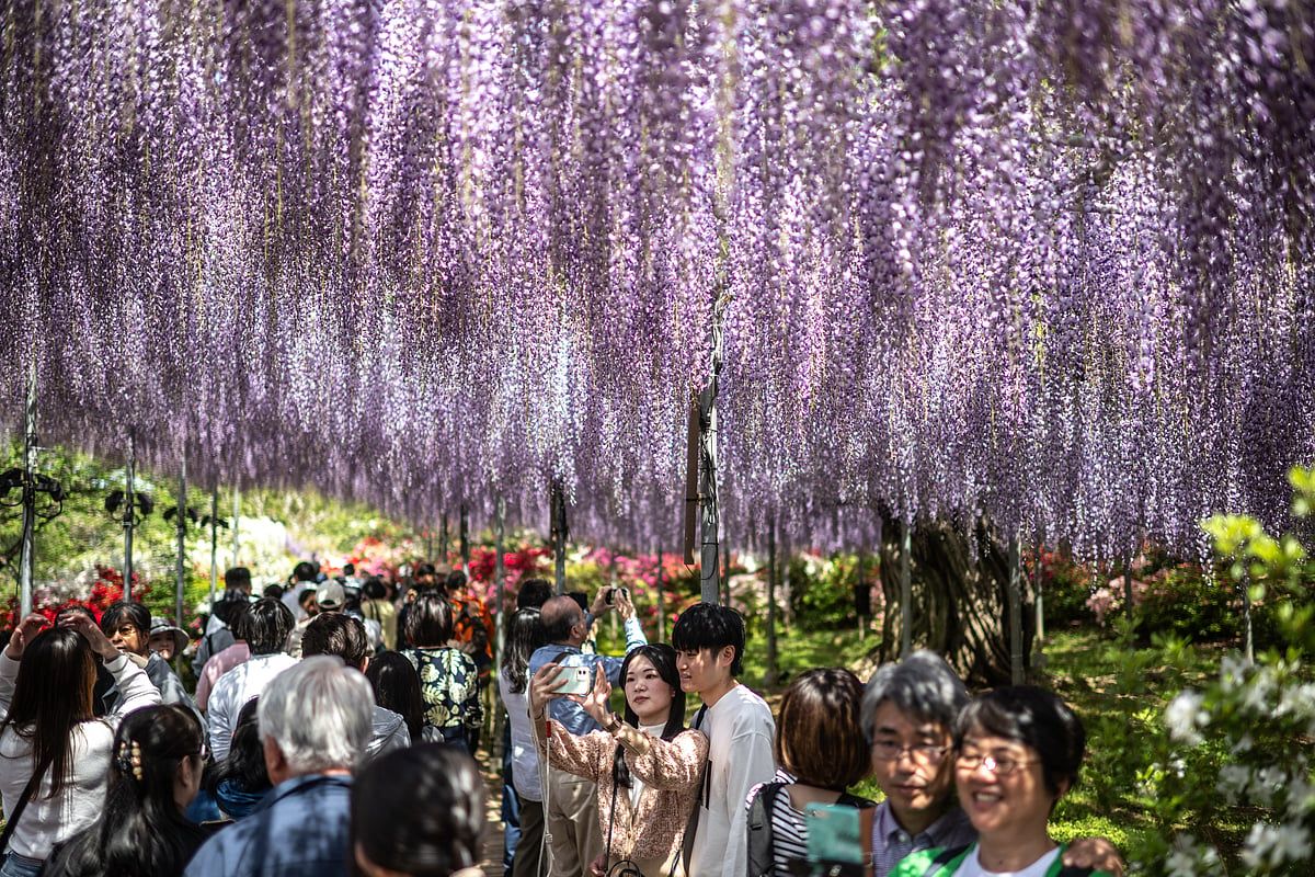 Japonya ilk altı Ayda 21,5 Milyon Turist Rekoru Kırdı