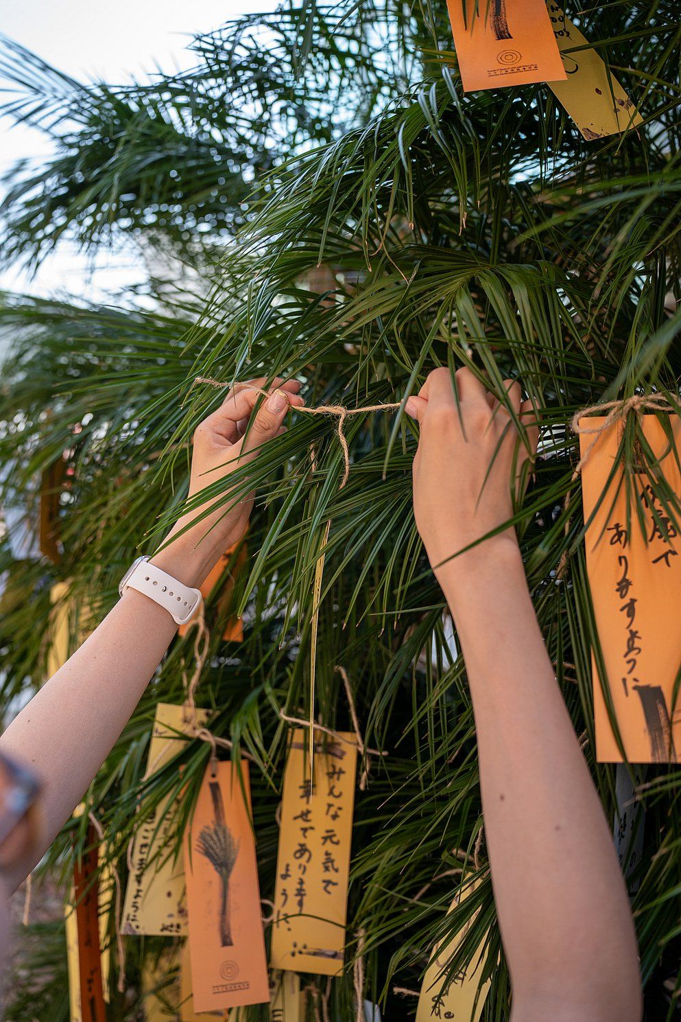 Palmiye Yapraklarında Umutlar: Osaka Expo'daki BAE Pavyonu, 2 Milyonuncu Konuğu için Japon Festivaline Ev Sahipliği Yapıyor