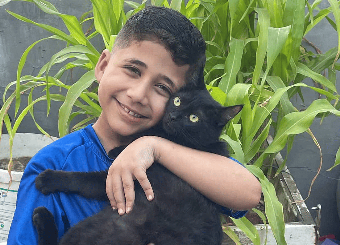 Gazze'de 'Gidecek Yeri Olmayan' Kedileri Kurtaran 8 Yaşındaki Çocukla Tanışın