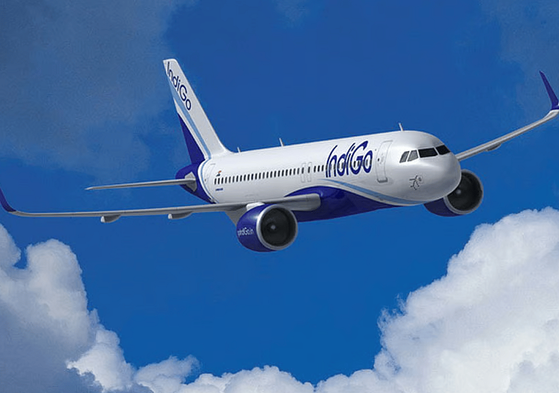 Indigo, Diğer Yolcuya Tokat Atan Adamın Viral Videosunun Öfkeye Yol Açmasından Sonra Açıklama Yaptı