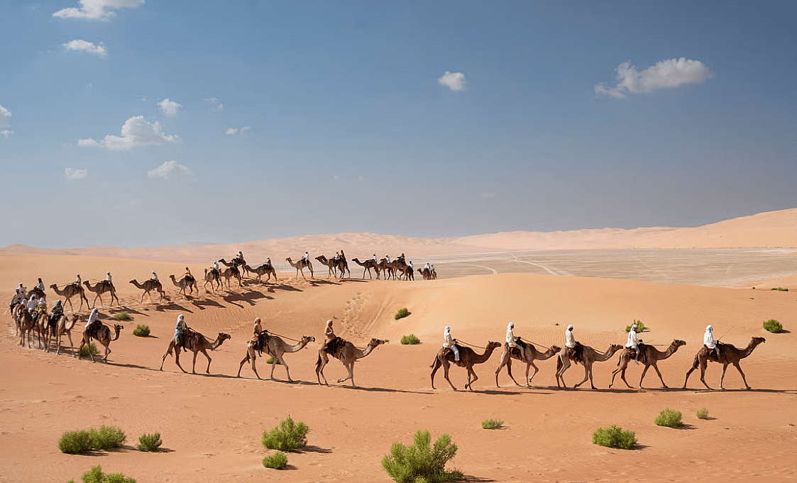 Şahinlerden Develere: Abu Dabi'nin Adihex'i Mirası, Doğayı Nasıl Koruyor